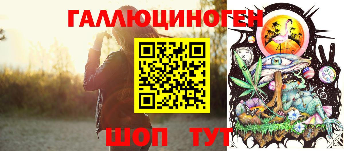 Галлюциногенные грибы Psilocybine cubensis Ирбит